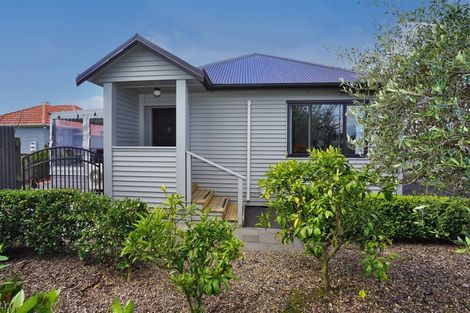 Photo of property in 101 Fairfield Road, Fairfield, Hamilton, 3214