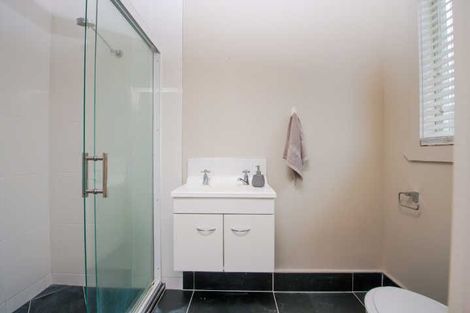 Photo of property in 41a Claude Street, Fairfield, Hamilton, 3214