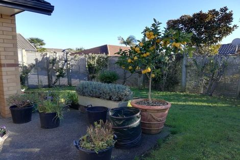 Photo of property in 33 Thomas Moore Place, Pukekohe, 2120