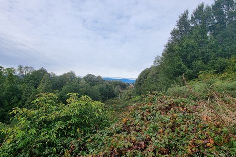 Photo of property in 331 Arnold Valley Road, Arnold Valley, Dobson, 7872