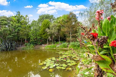 Photo of property in 111 Harataua Road, Port Albert, Wellsford, 0973