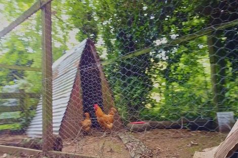 Photo of property in 822 Motukawa Road, Tarata, Inglewood, 4387