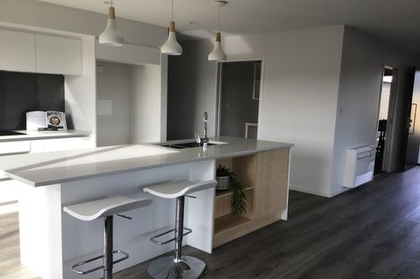 Photo of property in 28 Bonecrusher Street, Lincoln, 7608