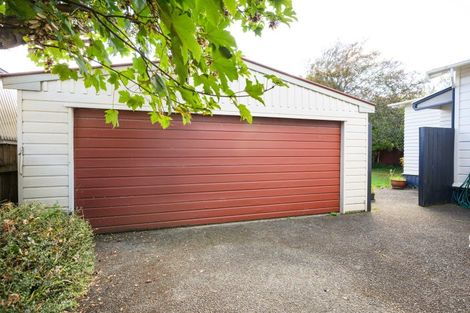 Photo of property in 19 Beresford Street, Takaro, Palmerston North, 4410