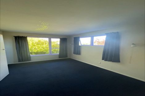 Photo of property in 170 Papanui Road, Merivale, Christchurch, 8014