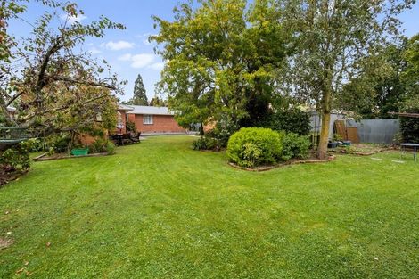 Photo of property in 57 Archibald Street, Tinwald, Ashburton, 7700