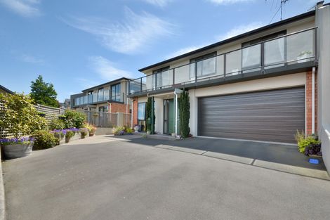 Photo of property in 202c South Road, Caversham, Dunedin, 9012