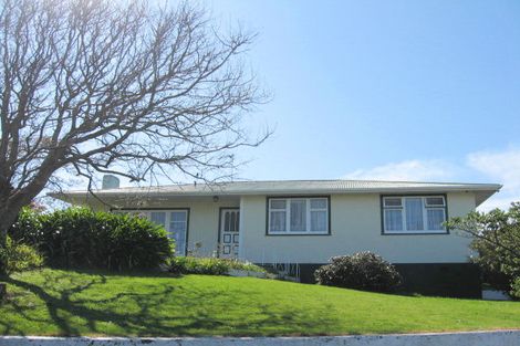 Photo of property in 102 Carlton Avenue, Tawhero, Whanganui, 4500