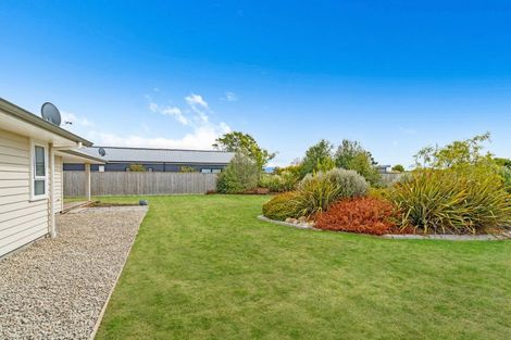 Photo of property in 49 Gimson Street, Solway, Masterton, 5810
