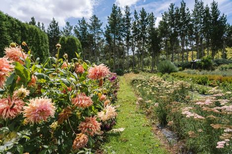 Photo of property in 259 Wainui Road South, Whakamarama, Katikati, 3181