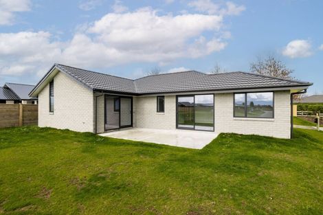 Photo of property in 13 Hinerangi Crescent, Matamata, 3400