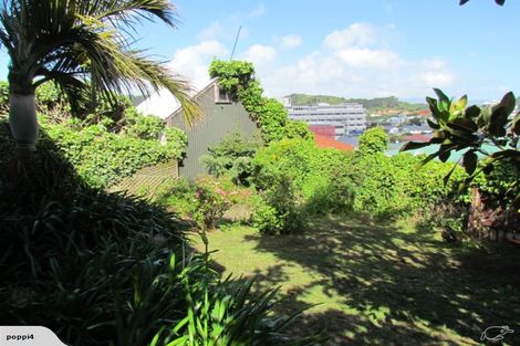 Photo of property in 17 Bidwill Street, Mount Cook, Wellington, 6021