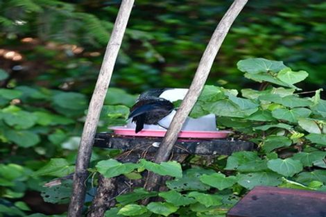 Photo of property in 76a Shakespear Road, Army Bay, Whangaparaoa, 0930