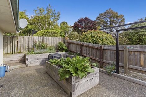Photo of property in 29b Butler Street, Maori Hill, Dunedin, 9010