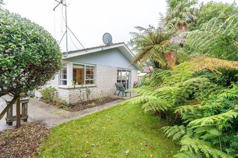 Photo of property in 117b Clarkin Road, Fairfield, Hamilton, 3214