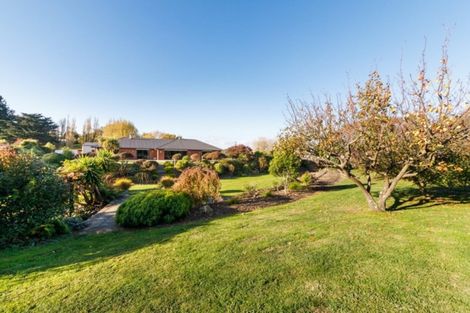 Photo of property in 17 Cemetery Road, Sanson, Palmerston North, 4479