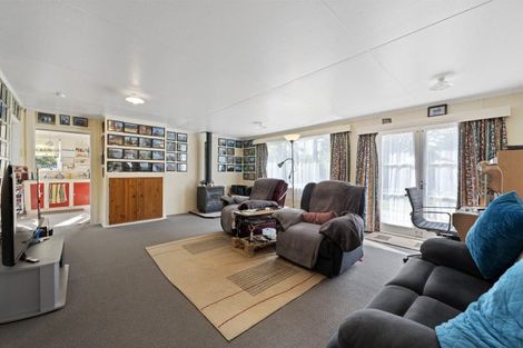 Photo of property in 66 Owhango Road, Owhango, 3990