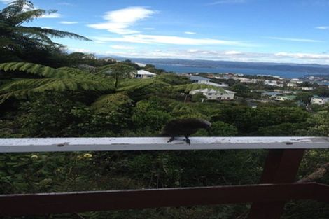 Photo of property in 32 Highbury Road, Highbury, Wellington, 6012