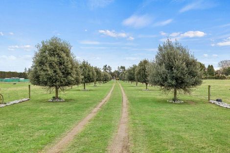 Photo of property in 161 Mckays Road, West Melton, Christchurch, 7671