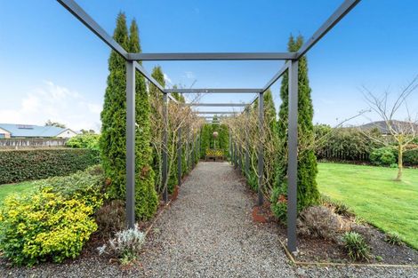 Photo of property in 24 Carrington Drive, Carterton, 5713