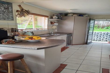 Photo of property in 234a Waikiekie Road, Thames, 3500