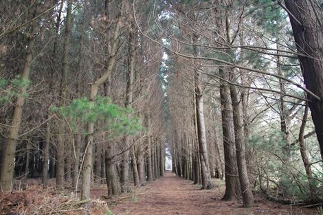 Photo of property in 459 Flora East, Makarewa, Invercargill, 9876