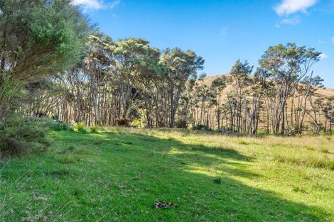 Photo of property in 516 Fordyce Road, South Head, Helensville, 0874