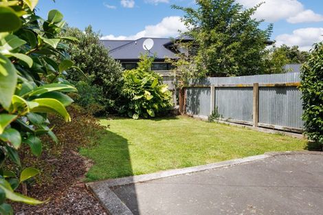 Photo of property in 421 Ruahine Street, Terrace End, Palmerston North, 4410