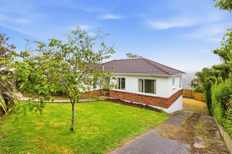 Photo of property in 177 Signal Hill Road, Opoho, Dunedin, 9010