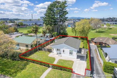 Photo of property in 175 Raeburne Street, Te Awamutu, 3800