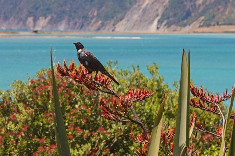 Photo of property in 638 Cable Bay Road, Cable Bay, Nelson, 7071