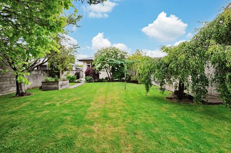 Photo of property in 17 Rowan Street, Hargest, Invercargill, 9810