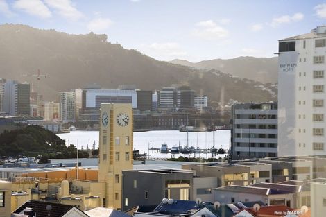 Photo of property in Rutherford Flats, 5 Levy Street, Mount Victoria, Wellington, 6011