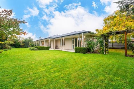 Photo of property in 4b Connolly Street, Geraldine, 7930