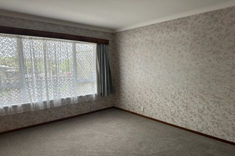 Photo of property in 247 Rodney Street, Wellsford, 0900