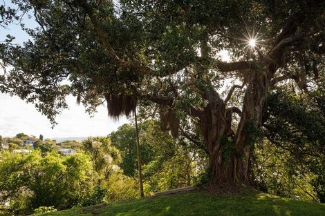 Photo of property in 20 Moana Drive, Tanners Point, Katikati, 3177