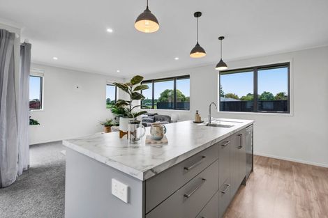 Photo of property in 20 Papawhero Drive, Bell Block, New Plymouth, 4312