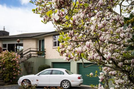 Photo of property in 101 Main Road, Clinton, 9534