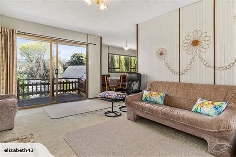 Photo of property in 173 Ohauiti Road, Hairini, Tauranga, 3112