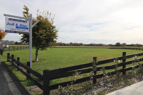 Photo of property in 24 Eldonwood Drive, Matamata, 3400