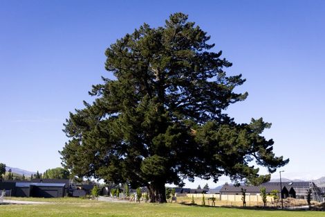 Photo of property in 43 Vintage Street, Cromwell, 9310