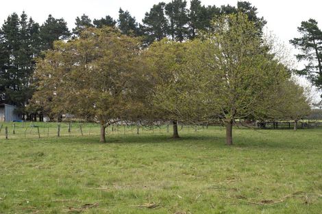 Photo of property in 1148 Rakaia Highway, Dromore, Ashburton, 7772