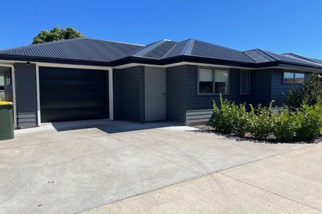 Photo of property in 30a Duke Street, Levin, 5510