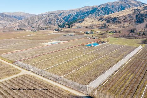 Photo of property in 319 Ripponvale Road, Cromwell, 9384