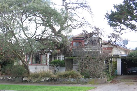 Photo of property in 55 Limbrick Street, Terrace End, Palmerston North, 4410