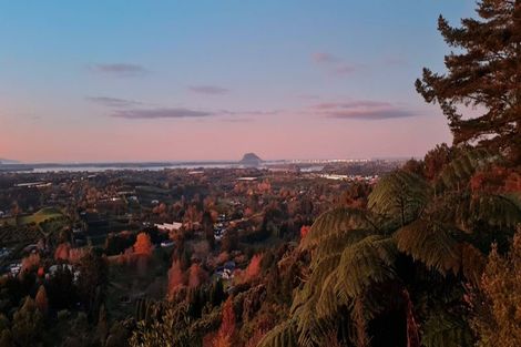 Photo of property in 86a Te Puna Quarry Road, Minden, Tauranga, 3179