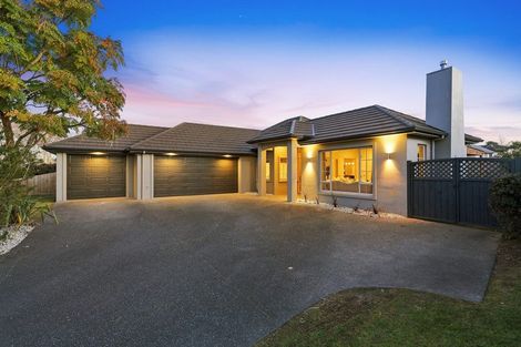 Photo of property in 198 Carmichael Road, Bethlehem, Tauranga, 3110