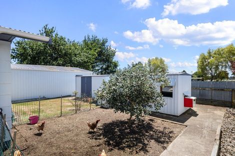 Photo of property in 12 Stuckey Street, Levin, 5510