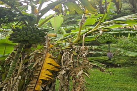 Photo of property in 656 Takahue Road, Takahue, Kaitaia, 0481