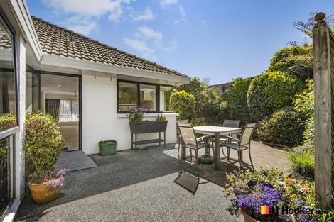 Photo of property in 5/31 Nicholas Road, Somerville, Auckland, 2014